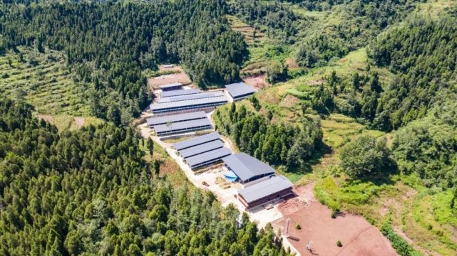 湖州吳興·廣元青川 山海情深，攜手奔康的網絡開發建設之路
